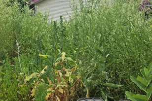 2233 S Woodward St, Milwaukee, WI 53207 - Photo 12