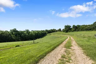 13348 Hillside Rd, Brownsville, MN 55919 - Photo 18