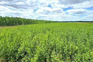 1602 State Hwy 60 -, Jackson, WI 53037 - Photo 34