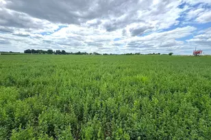 1602 State Hwy 60 -, Jackson, WI 53037 - Photo 40