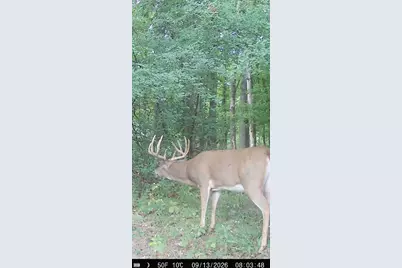 W13878  Shepherd Rd, Pigeon, WI 54758 - Photo 48