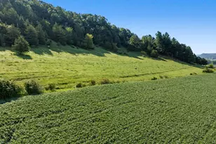 N3290 Russlan Coulee Rd, Barre, WI 54601 - Photo 38