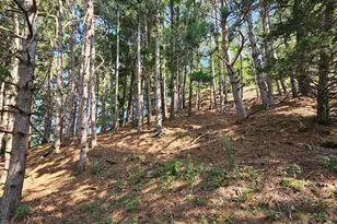 N3290 Russlan Coulee Rd, Barre, WI 54601 - Photo 70