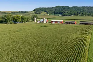 N3290 Russlan Coulee Rd, Barre, WI 54601 - Photo 50