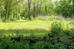 5406 State Rd 50, Delavan, WI 53115 - Photo 16