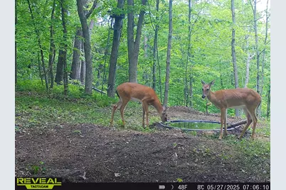 S7437  Forest Ln, Wheatland, WI 54624 - Photo 14