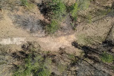 0  Jargon Ave #Lot 2, Wells, WI 54656 - Photo 4