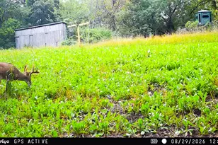 5292 Stenner Hill Rd, Marion, WI 53805 - Photo 40
