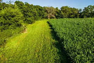 5292 Stenner Hill Rd, Marion, WI 53805 - Photo 24
