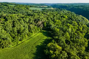 5292 Stenner Hill Rd, Marion, WI 53805 - Photo 34