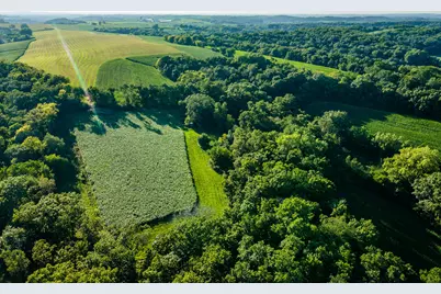 5292  Stenner Hill Rd, Marion, WI 53805 - Photo 22