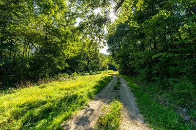 5292  Stenner Hill Rd, Marion, WI 53805 - Photo 8