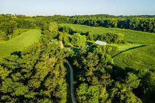 5292 Stenner Hill Rd, Marion, WI 53805 - Photo 12