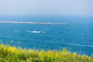 4100 S Lake Dr, Saint Francis, WI 53235 - Photo 34