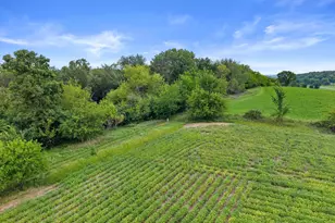 N3810 Scheppert Rd, Oakland, WI 53538 - Photo 40