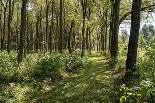 14502 Burrows Ln, Forest, WI 54664 - Photo 2