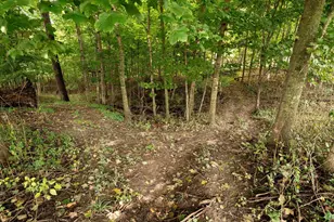 544 E School Rd, La Farge, WI 54639 - Photo 24