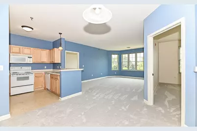 4120 S Lake Dr #C355, Saint Francis, WI 53235 - Photo 10