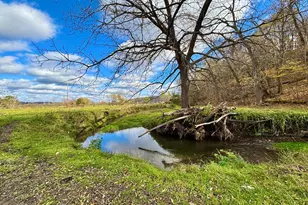 29651 County 5, Fillmore, MN 55990 - Photo 78