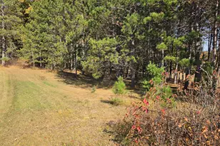 W8620 Glendale Rd, Wausaukee, WI 54177 - Photo 36