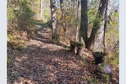 S5801B N Harrison Hollow Rd, Viroqua, WI 54665 - Photo 30