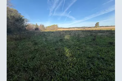 Lot 2  County Highway I -, Angelo, WI 54656 - Photo 4
