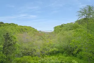 30 Sengekontacket Rd, Oak Bluffs, MA 02557 - Photo 16