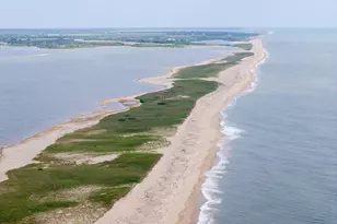 6 Jane's Cove Rd, Edgartown, MA 02539 - Photo 8