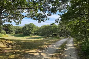 36 Smith Hollow Dr, Edgartown, MA 02539 - Photo 34