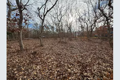 36 Boylston Drive, Edgartown, MA 02539 - Photo 4