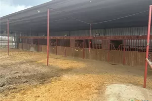 4610 Pfeil Rd Rd, Converse, TX 78109 - Photo 10