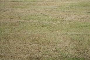 1203 W Houston Ave, Seadrift, TX 77983 - Photo 1