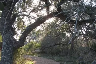 584 Tobacco Pass, New Braunfels, TX 78132 - Photo 32