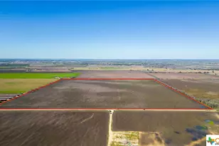 Tbd Young Ln, Lockhart, TX 78644 - Photo 4