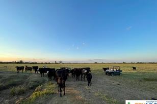 Tbd Cr 358, Gause, TX 77857 - Photo 10