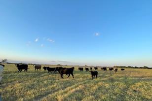 Tbd Cr 358, Gause, TX 77857 - Photo 6