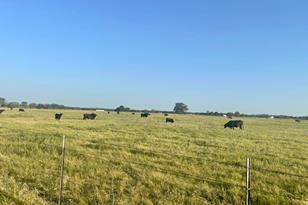 Tbd Cr 358, Gause, TX 77857 - Photo 4