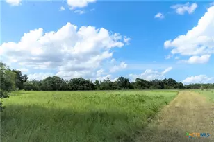 0 S Hwy 183, Lockhart, TX 78644 - Photo 14