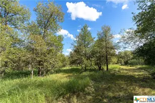 0 S Hwy 183, Lockhart, TX 78644 - Photo 2