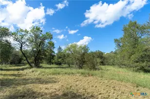 0 S Hwy 183, Lockhart, TX 78644 - Photo 10