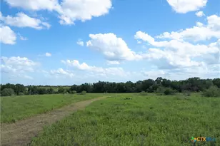 0 S Hwy 183, Lockhart, TX 78644 - Photo 4