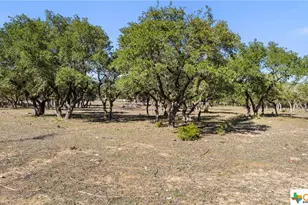 5400 FM 2325, Wimberley, TX 78676 - Photo 4