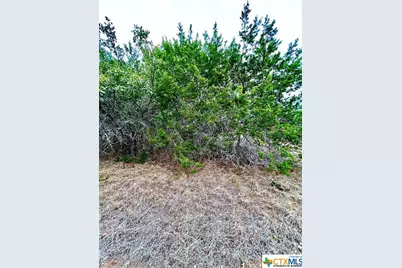 8872 Trimmier Road, Killeen, TX 76542 - Photo 6