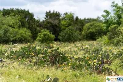 12283 Crows Ranch Rd, Salado, TX 76571 - Photo 10