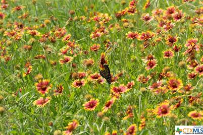 12283 Crows Ranch Rd, Salado, TX 76571 - Photo 2