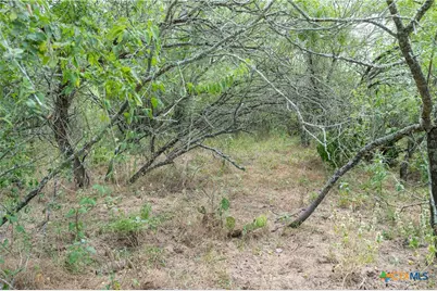 Tbd Fm 671, Luling, TX 78648 - Photo 32