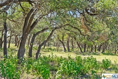Tract 12 Lewdele Lane, Blanco, TX 78671 - Photo 2