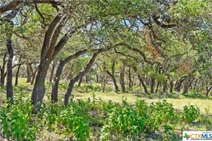 Tract 12 Lewdele Ln, Blanco, TX 78671 - Photo 2