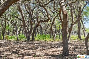 Tract 12 Lewdele Ln, Blanco, TX 78671 - Photo 12