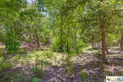 21465 Lakefront Drive, Lago Vista, TX 78645 - Photo 10